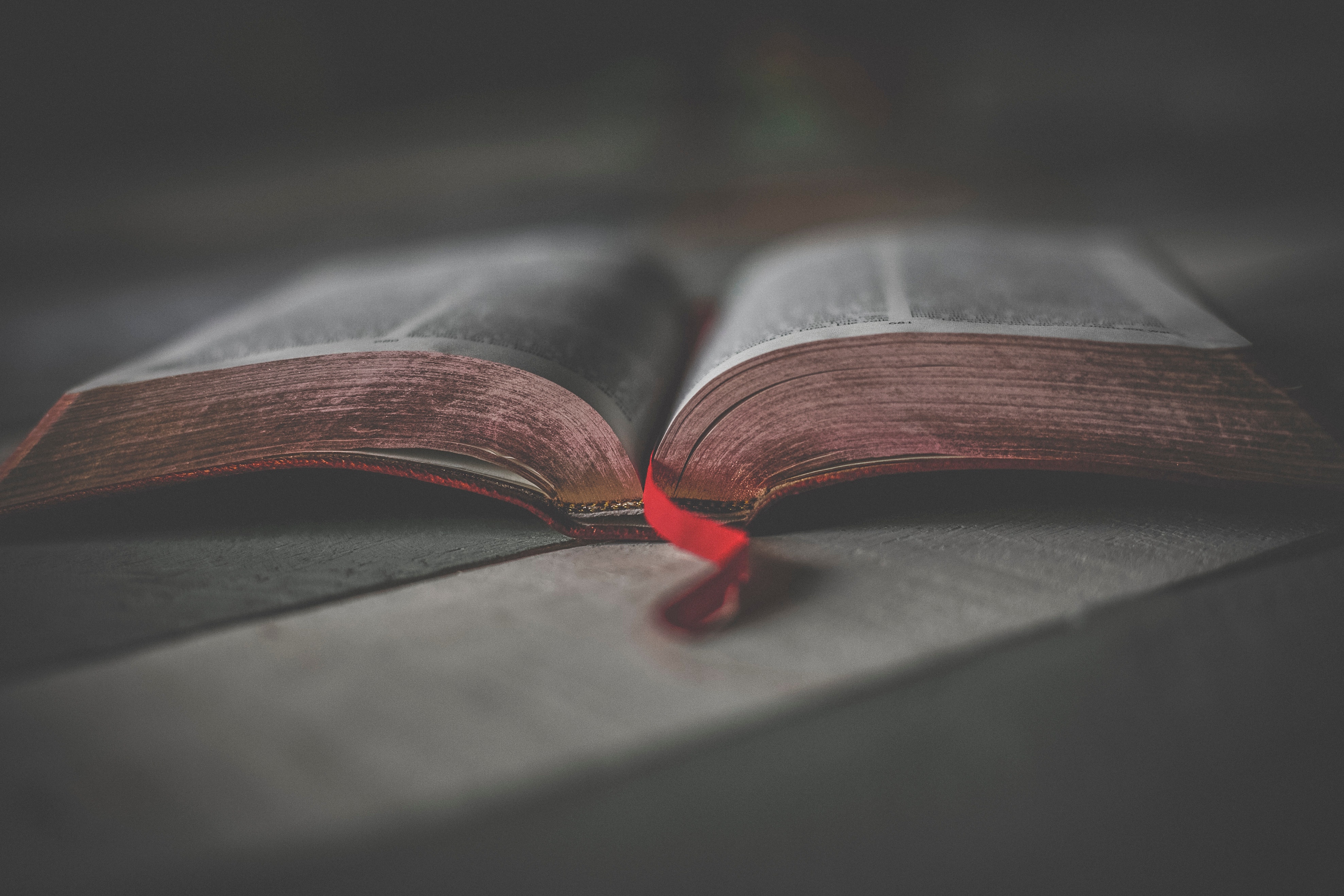 Biblia