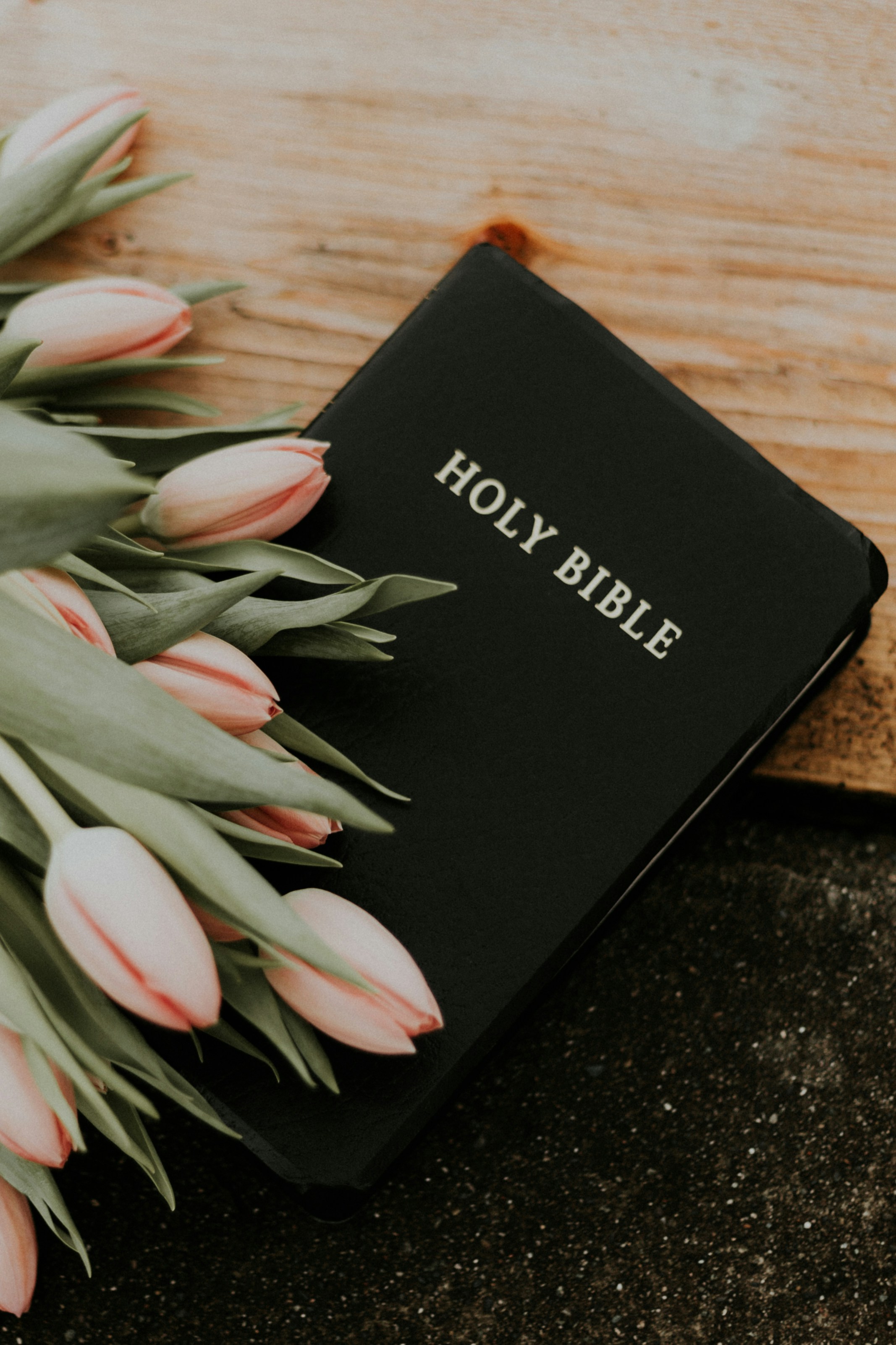La Palabra de Dios
